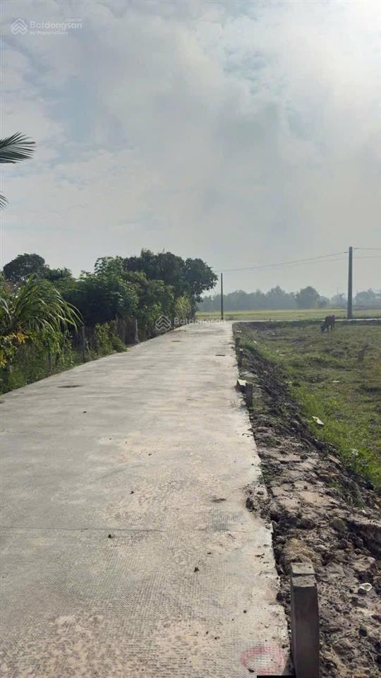 Bán đất bê tông 5m cách tl9 150m, sát cát tường phú sinh dân đông, sổ hồng 850 triệu/nền