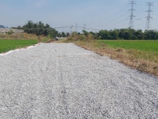 Bán đất đường bình lợi hoà khánh đông giáp tt đức hoà, dân đông, sổ hồng, 140m2 750 triệu.