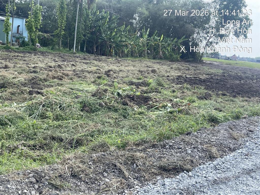 Đất bàu sen hoà khánh đông giá rẻ, sổ hồng, dân đông, 550 triệu/ nền