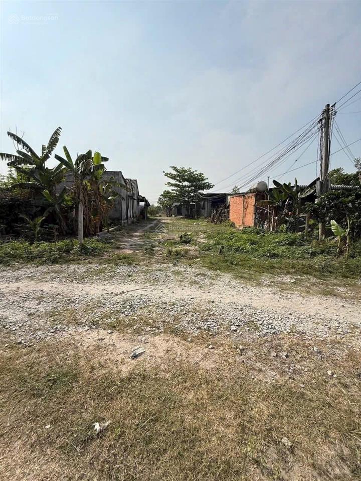 Bán đất ấp nhơn hoà 2, đức hoà thượng 350 triệu, giá rẻ dân đông sổ hồng riêng