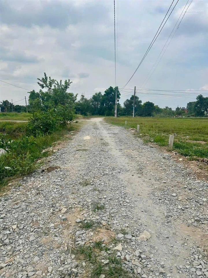 Bán đất đức hoà thượng giá rẻ, 550 triệu/ nền, sổ hồng riêng, thổ cư, dân đông