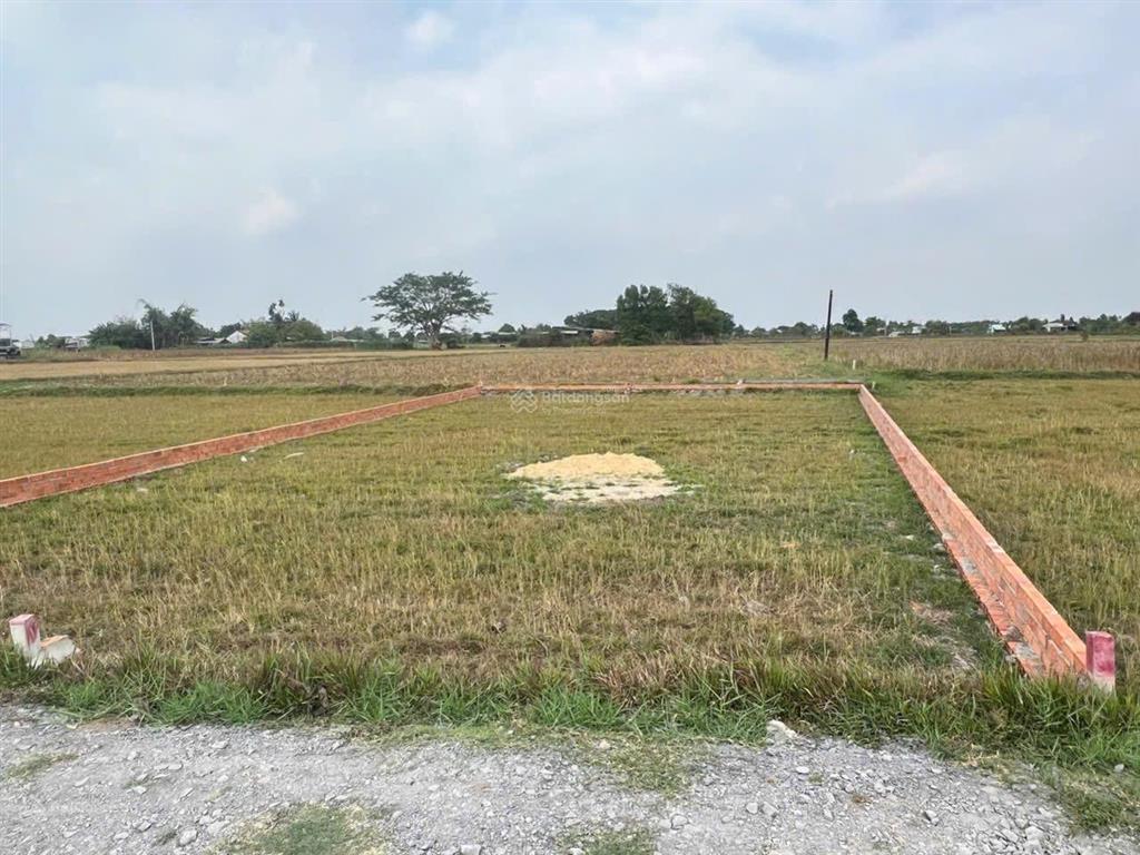 Đất đức hoà thượng giá rẻ, sổ hồng, (5  7m)x22m 550 triệu/nền