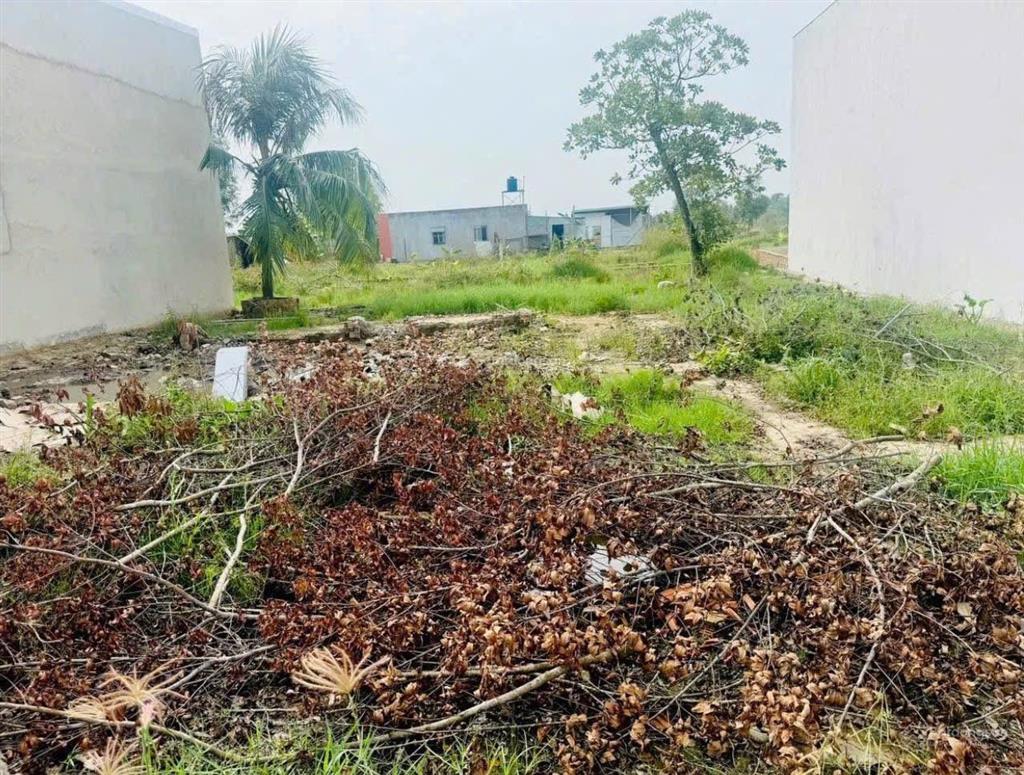 Đất thị trấn đức hoà kế bên chợ đức hoà giá rẻ, sổ hồng, 680 triệu/ nền.