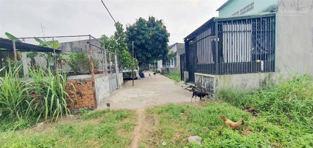 Đất đức hoà hạ nhựa 10 thứ đang làm, 880 triệu/ nền, sổ hồng, thổ cư, dân đông
