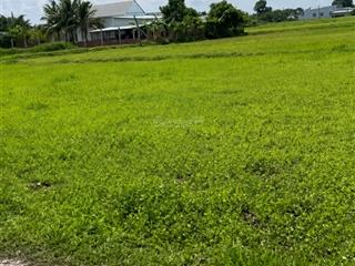 Đất đức hòa thượng giá rẻ, chính chủ, sổ hồng, 480 triệu/nền.