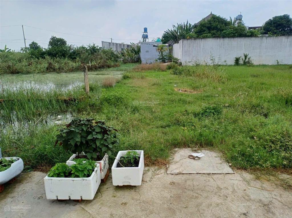 Chủ ngộp, bán đất phố tri thức tt đức hoà giá rẻ, sổ hồng 1.05 tỷ/ nền