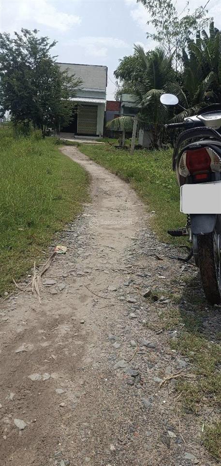 Chính chủ cần bán đất đức hòa thượng giá rẻ, sổ hồng riêng, 450 triệu/nền.