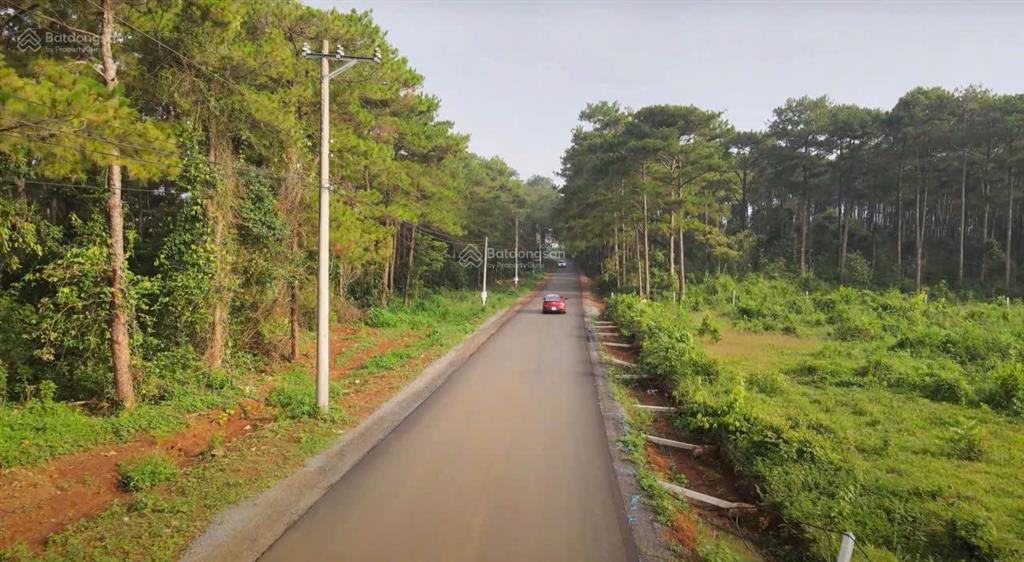 Đất nền phường 2, bảo lộc mặt tiền trục đường vào hồ ngọc, dt 245m2, thổ cư, chỉ 1.5 tỷ