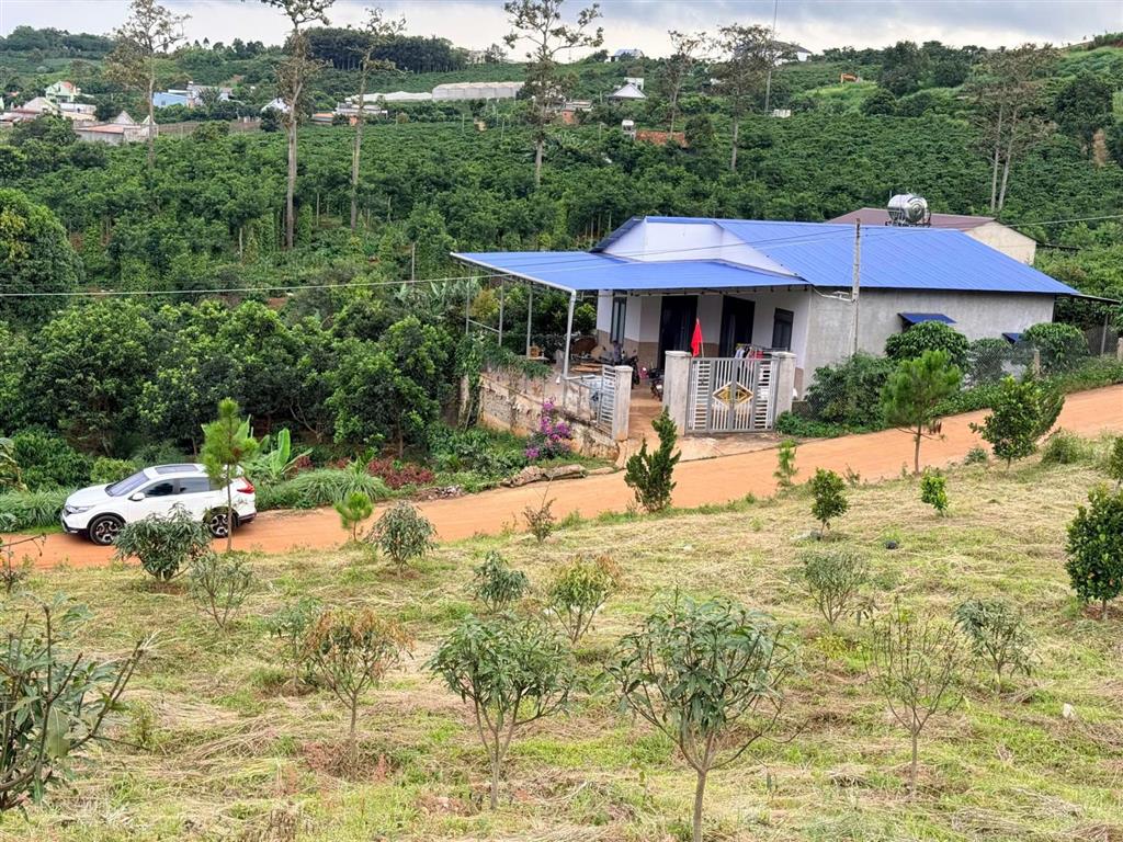 Bán lô đất sau chợ thăng long, nam ban 195m2 sẵn thổ cư, shr