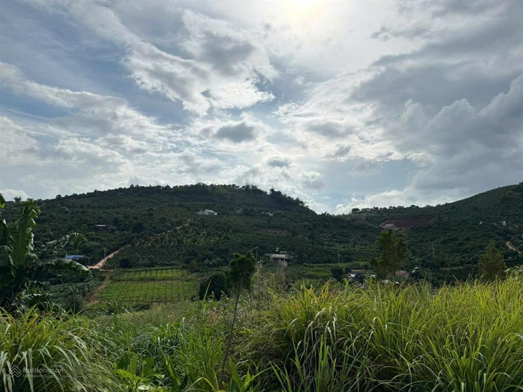 Chỉ 450 triệu sở hữu lô đất 280m2 gần homestay colline d'amour, sổ hồng riêng công chứng ngay