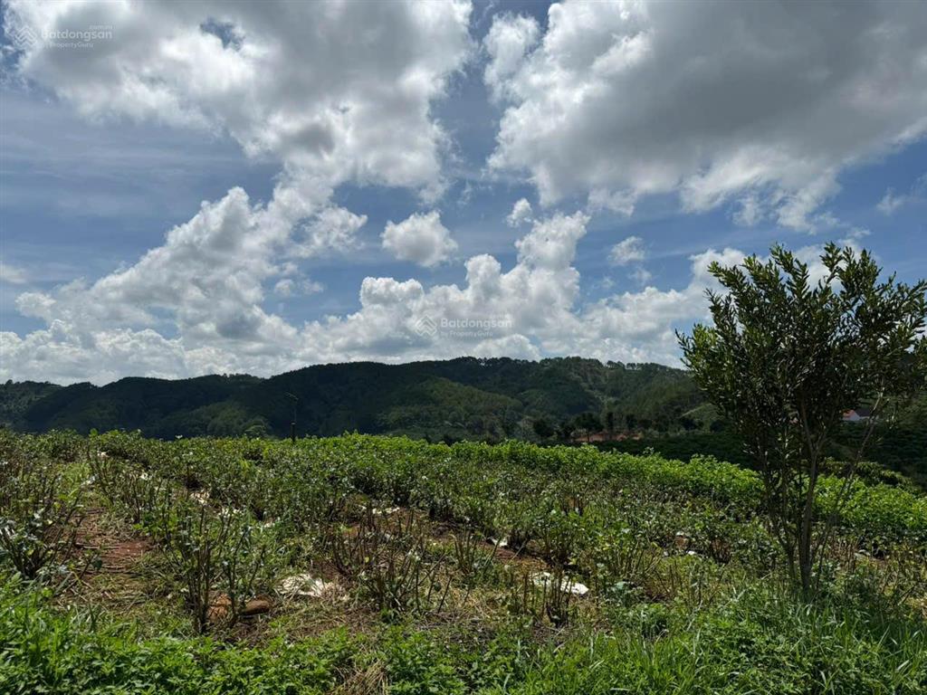 Bán gấp lô đất 2 mặt tiền đường view thông thoáng, khu dân cư chỉ 550 triệu