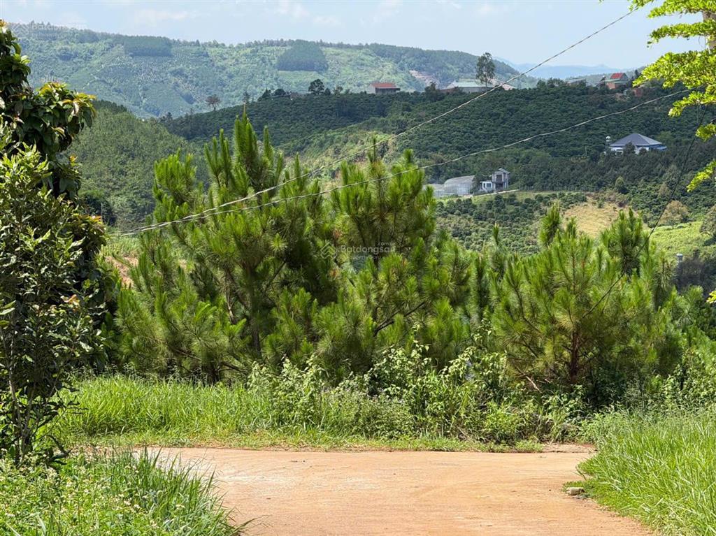 Bán gấp lô đất 2 mặt tiền đường view thông thoáng, khu dân cư chỉ 550 triệu