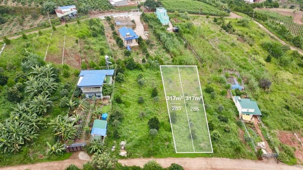 Đất xã nam hà sẵn 105m2 thổ cư, diện tích 317m2 chỉ 550 triệu gần chùa linh