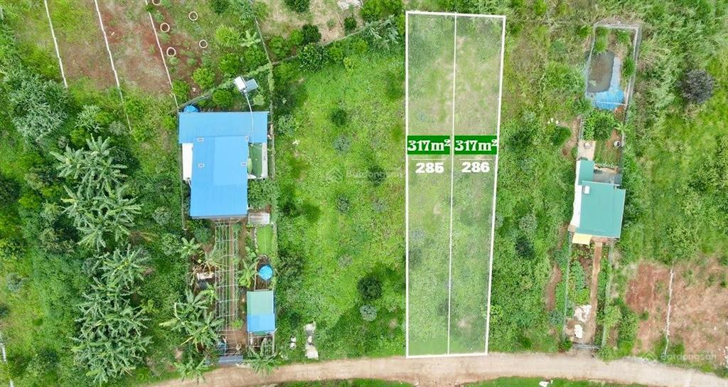 Đất xã nam hà sẵn 105m2 thổ cư, diện tích 317m2 chỉ 550 triệu gần chùa linh