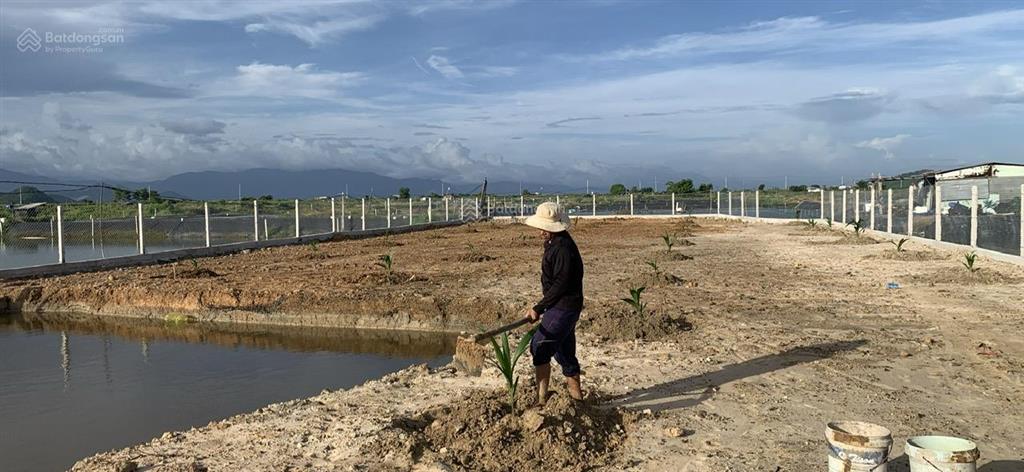 Bán đất đẹp tại ninh thọ, gần kđt đông bắc t. x ninh hoà, nam vân phong dt 1428 m2, thổ cư 100%