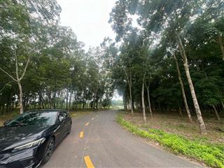 Cần bán 3.2ha skc tại vĩnh tân tân uyên bình dương