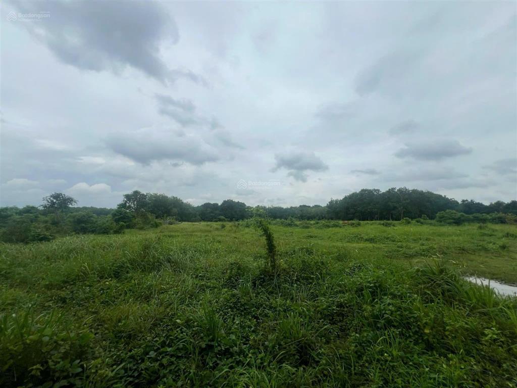 Cần bán 3.2ha skc tại vĩnh tân tân uyên bình dương