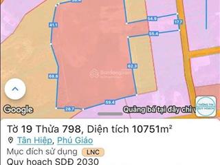 Bán đất tại tân hiệp, phú giáo, bình dương, 17 tỷ, 11000 m2 giá cực chất