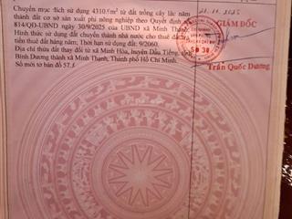 Bán đất tại xã minh hòa, dầu tiếng, bình dương, 11,5 tỷ, 5000m2