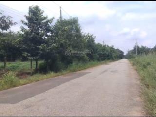 Cần bán 50.000m2 đất skc tại vĩnh hoà phú giáo bình dương