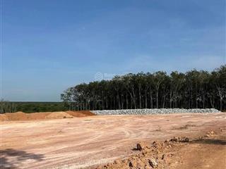 Cần bán 29.000m2 skc đóng tiền 1 lần tại tân định bắc tân uyên bình dương