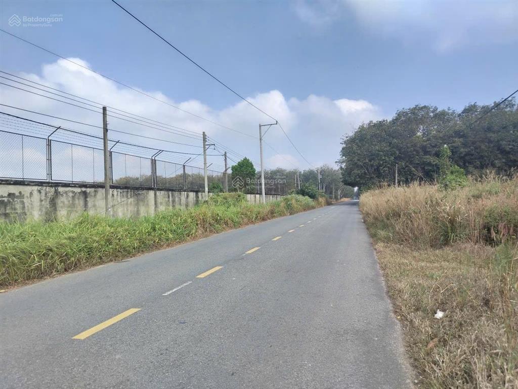 Cần bán 27.500m2 đất quy hoạch skc tại long nguyên bầu bàng bình dương