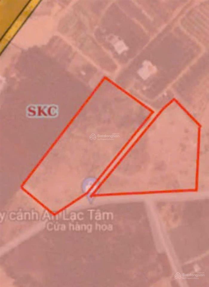 Chuyển nhượng quỹ đất 2ha skc tại ninh đông  ninh hòa  khánh hòa