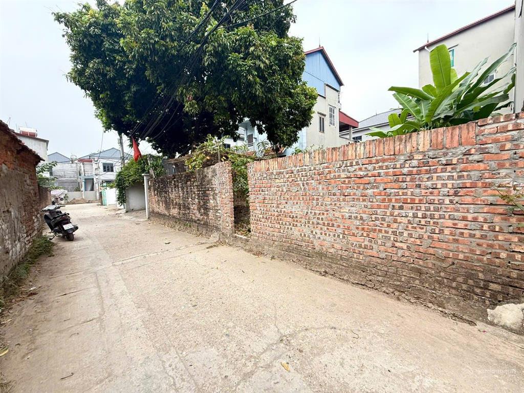 Siêu phẩm ngay cạnh vành đai 4 full thổ cư siêu đẹp tại kim hoa, mê linh 0357 539 ***