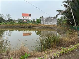 Cần bán đất lúa chính chủ  230 triệu / 303.7m2