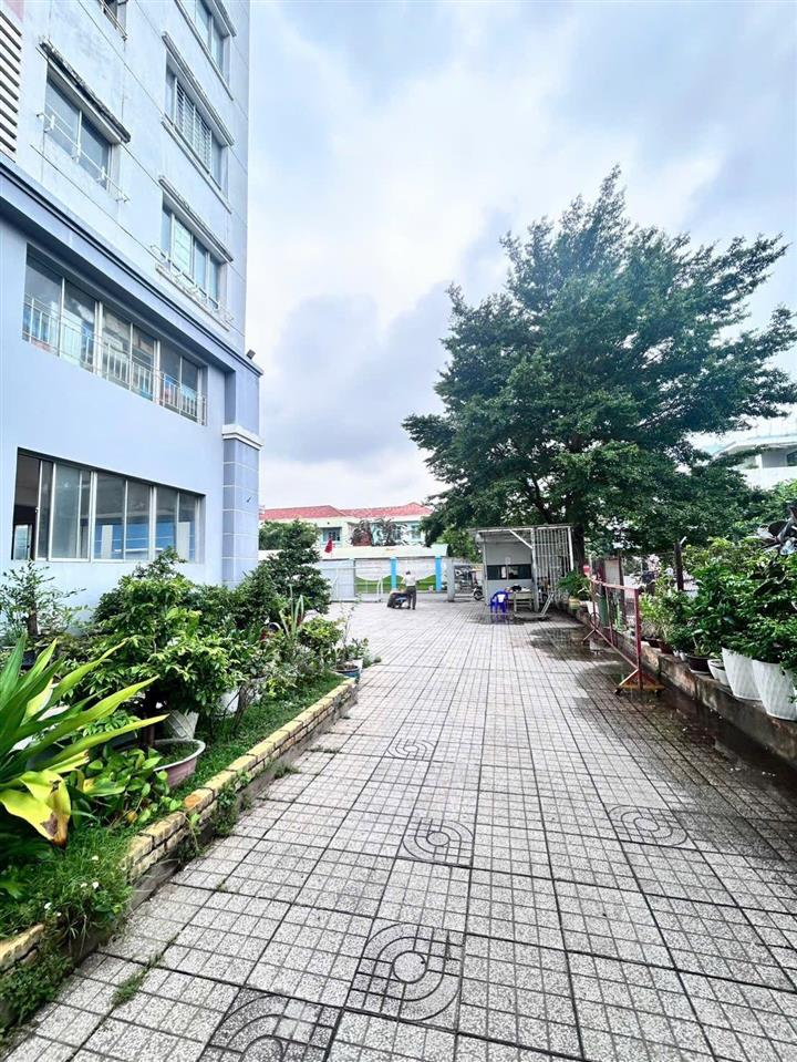 2,58 tỷ  cc bông sao a p5 q8, tp hcm