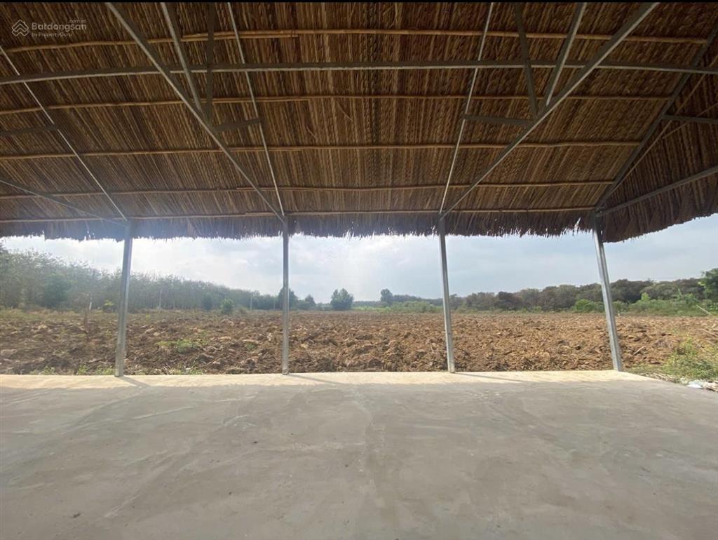 Chính chủ bán lô đất 1000m2, gần cao tốc long thànhhồ tràm. ngay kdc, tt xã hoà hội, đủ tiện nghi