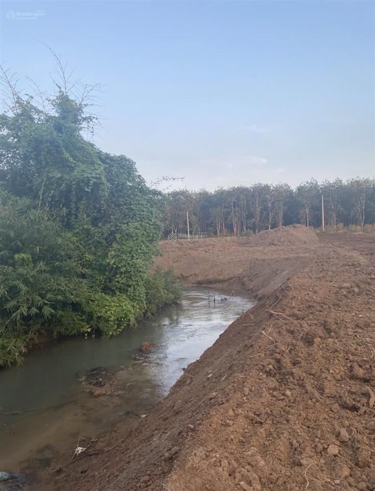 Chính chủ bán lô đất 1000m2, gần cao tốc long thànhhồ tràm. ngay kdc, tt xã hoà hội, đủ tiện nghi