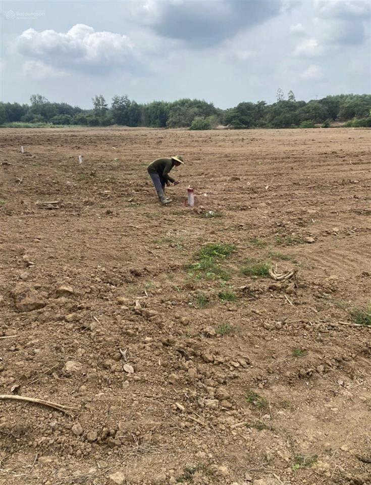 Chính chủ bán lô đất 1000m2, gần cao tốc long thànhhồ tràm. ngay kdc, tt xã hoà hội, đủ tiện nghi