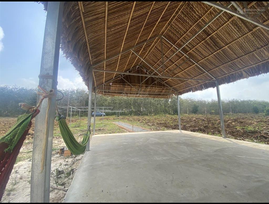 Chính chủ bán lô đất 1000m2, gần cao tốc long thànhhồ tràm. ngay kdc, tt xã hoà hội, đủ tiện nghi