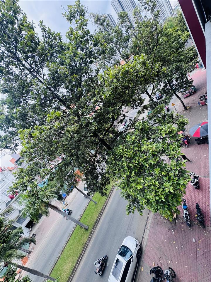 Cho thuê nhà phố mặt tiền kinh doanh kdc him lam, nguyễn thị thập, q.7  600m2, hầm, thang máy,pccc