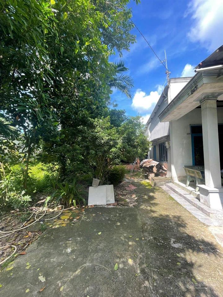 Cần bán nhà 2216m2 mặt tiền đường nhựa xã thái mỹ, 1/ cây trôm mỹ khánh có sẵn 300m2 thổ cư