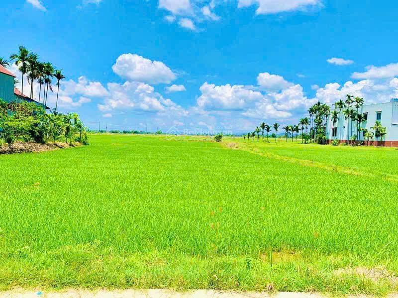 Siêu phẩm  3 mặt view lúa  điện nam sát hội an  300m2  mt 14m  oto tận nơi  3tyx (hiếm)