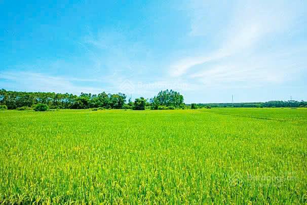 Siêu phẩm  3 mặt view lúa  điện nam sát hội an  300m2  mt 14m  oto tận nơi  3tyx (hiếm)
