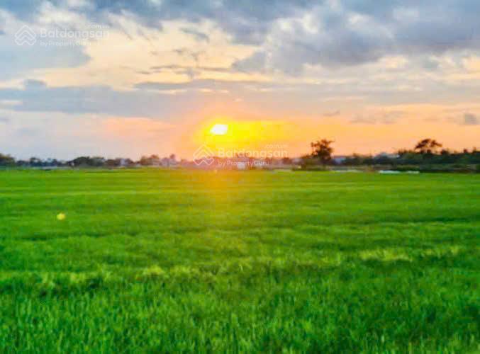 Điện phương  2 mặt view lúa  sát làng gốm  5 phút đến hội an  640m2  mt 22m  oto  6 tỷ 9.