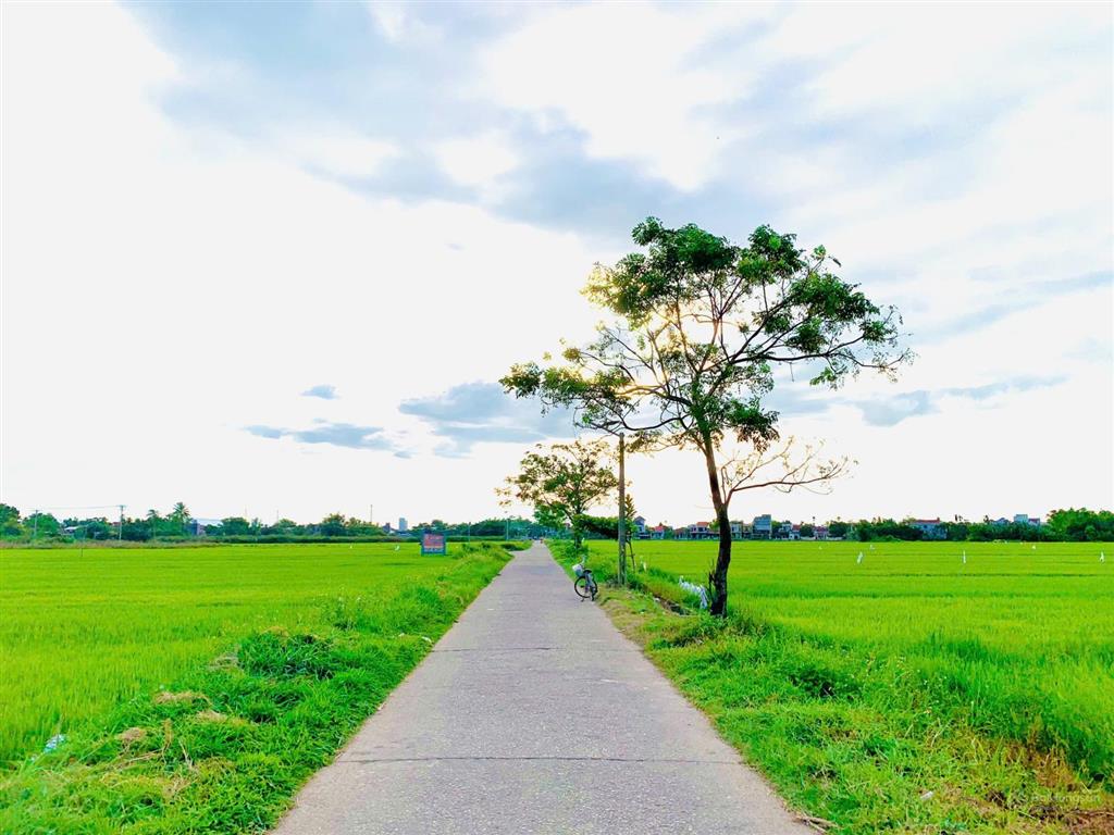 Điện phương  2 mặt view lúa  sát làng gốm  5 phút đến hội an  640m2  mt 22m  oto  6 tỷ 9.