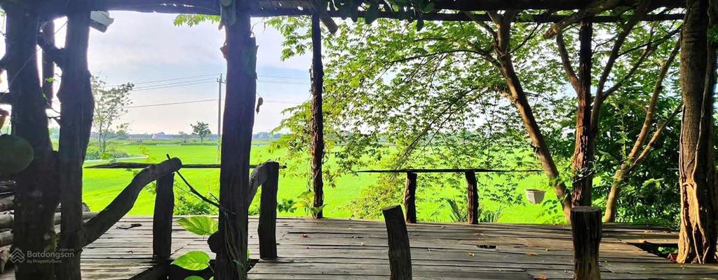 Điện phương  2 mặt view lúa  sát làng gốm  5 phút đến hội an  640m2  mt 22m  oto  6 tỷ 9.