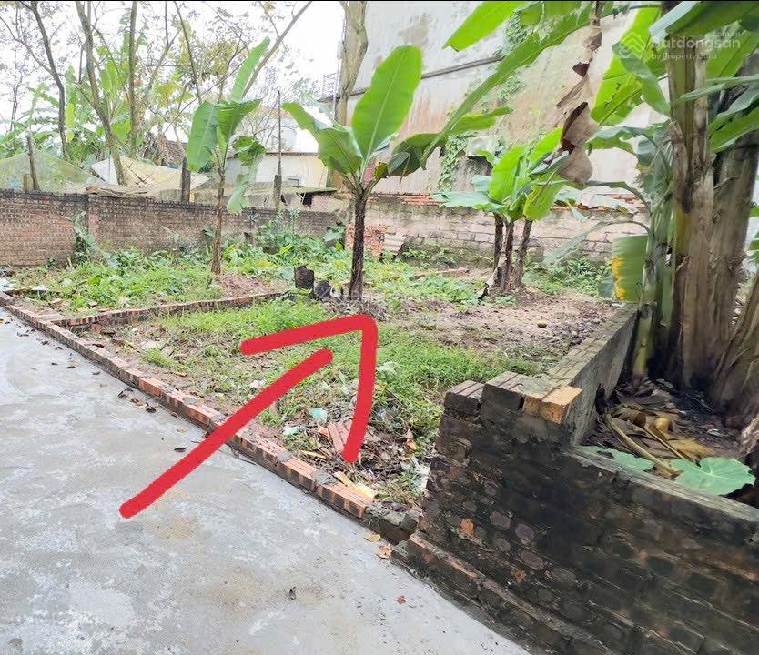 Chính chủ bán đất dương đức hiền 41m ô tô vào, sát vinhome, giữ tiền và ở đều được nhỉnh 2tỷ