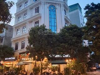 31 tỷ  bán gấp lô góc kđg man bồi gốc găng  dt 83m2  7 tầng  thang máy kinh doanh cafe  sapa