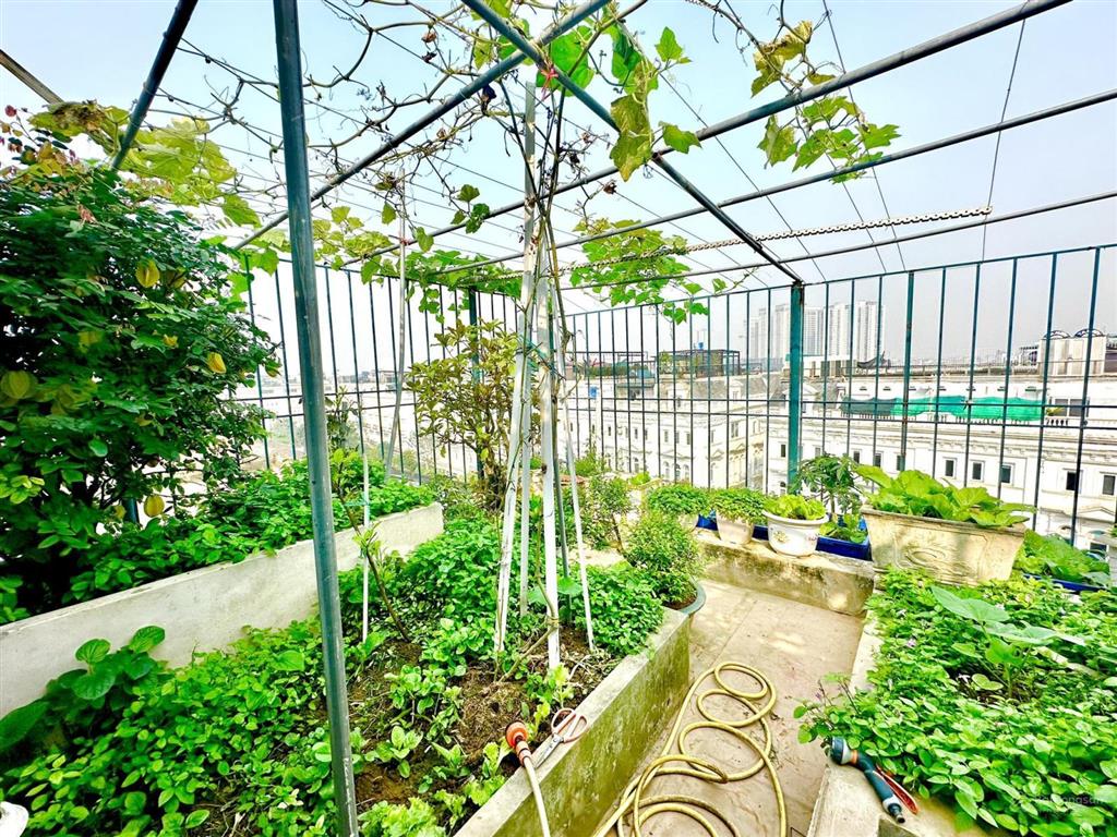 36 tỷ, cần bán liền kề louis city đại mỗ dt 110m2, 6 tầng, thang máy, full nội thất 6 tỷ cực vip