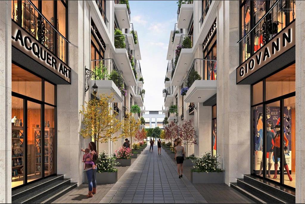 Căn hoa hậu ngoại giao 65m  vị trí đẹp hiếm có