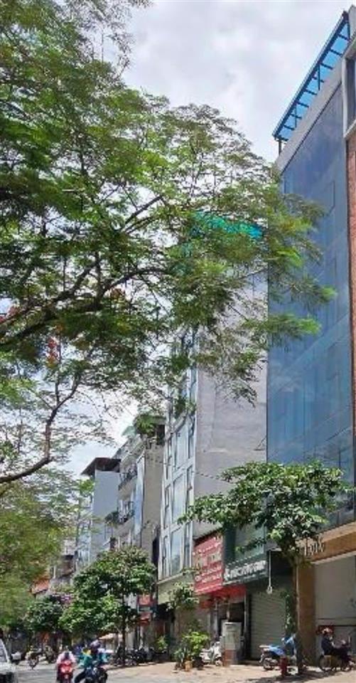 Mặt phố nguyễn khangtòa văn phòng 88mx 8 tầng mặt sông tô lịch đón đầu tiềm năng tăng giá47,5 tỷ