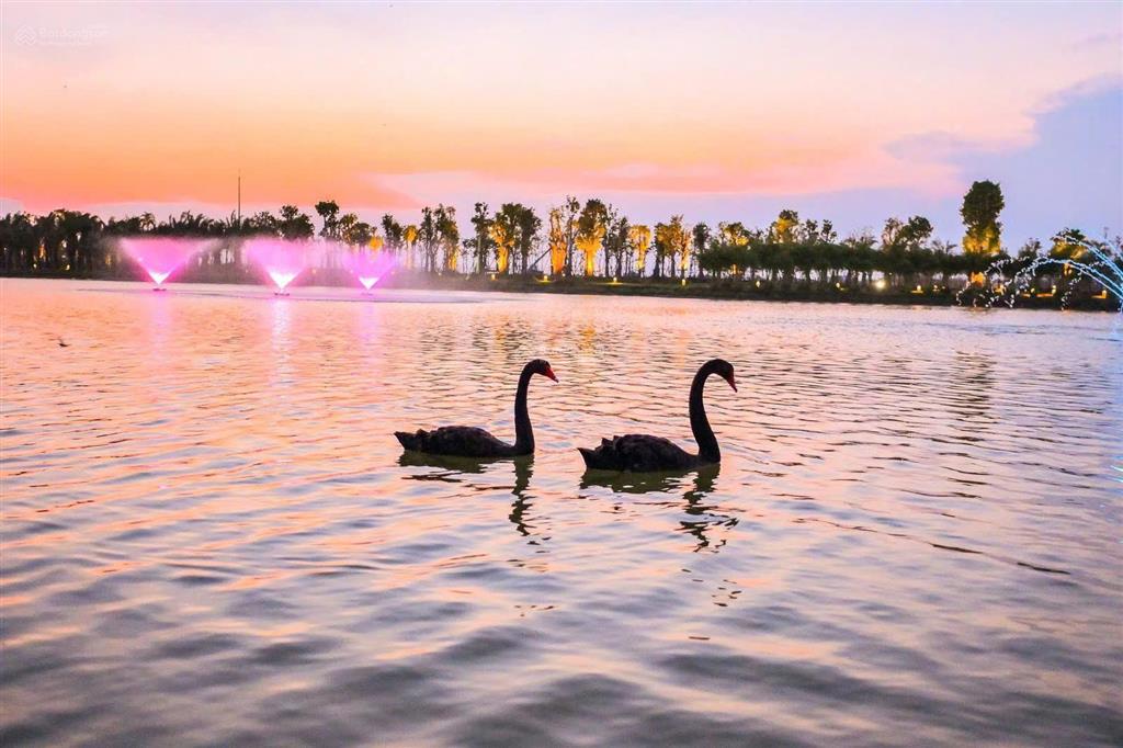 Bán shophouse rừng mai kinh doanh cực tốt  giá cực chất tại eco retreat long an, 15 tỷ, 144 m2