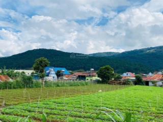 Bán lô đất giáp suối thoáng đẹp, 357.4m2 chỉ 1.8tỷ ngay trung tâm hiệp thạnh, về đà lạt chỉ 30 phút