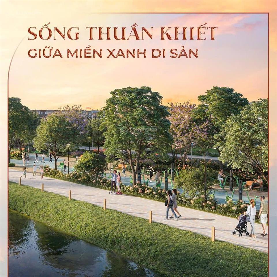 Cần tiền bán gấp căn biệt thự liền kề vinhomes woder city, 120m2, giá đất 11.186 tỷ có thương lượng