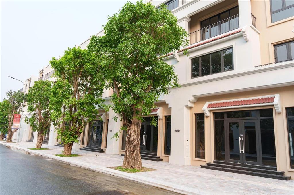 Cần tiền bán gấp căn biệt thự liền kề vinhomes woder city, 120m2, giá đất 11.186 tỷ có thương lượng